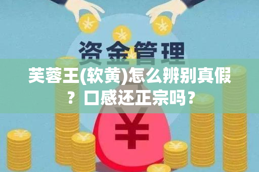 芙蓉王(软黄)怎么辨别真假？口感还正宗吗？